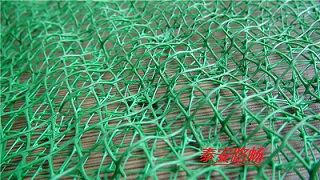 欢迎:杭州三维植被网生产商-:杭州三维网集团公司