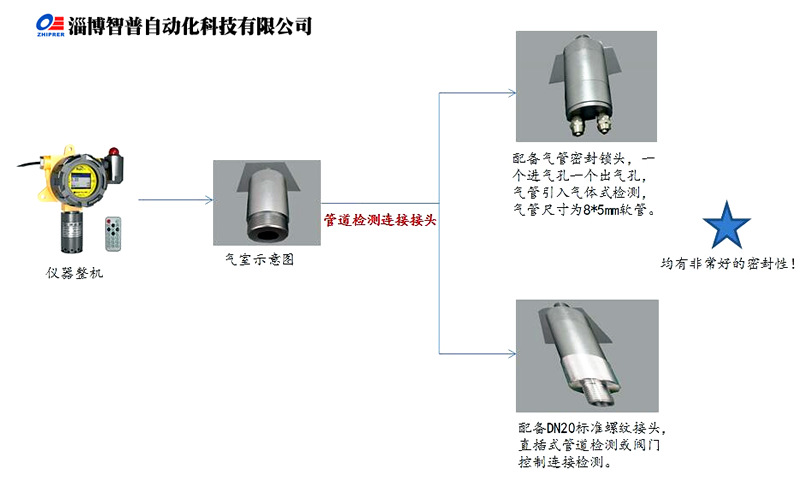 ZP600-H2S在线式/固定式硫化氢检测仪