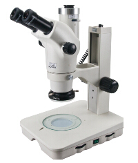 NSZ-608T体视显微镜