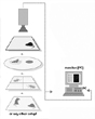 HB行為學(xué)實驗站  動物行為學(xué)視頻分析系統(tǒng)