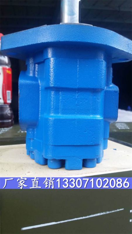 CBY4160-2FR齿轮泵CBY4160-2FR齿轮油泵