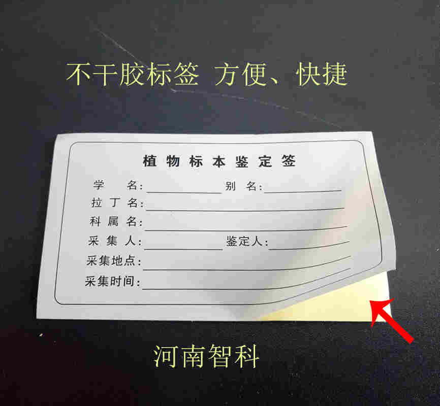 植物鉴定标签,植物标本采集标签,标签