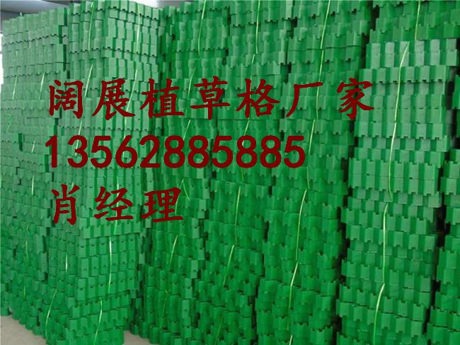 九江7公分塑料植草格九江市政工程施工/园林绿化