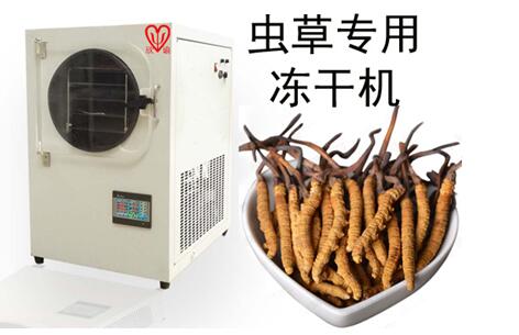 欣谕XY-FD-L1小型冷冻干燥机真空冷冻干燥机冻干机