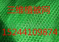 信阳市三维植被网有限公司三维植草格厂家