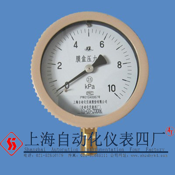 上海自动化仪表四厂YE-100膜盒压力表