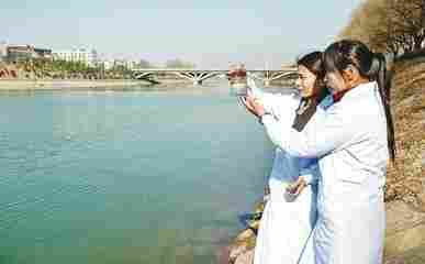 化学需氧量在线COD消解器价格 厂家 型号