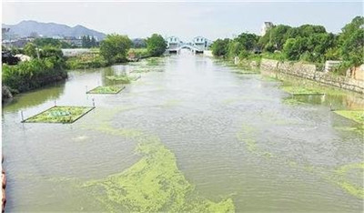 青岛固定式水质采样器 生产厂家