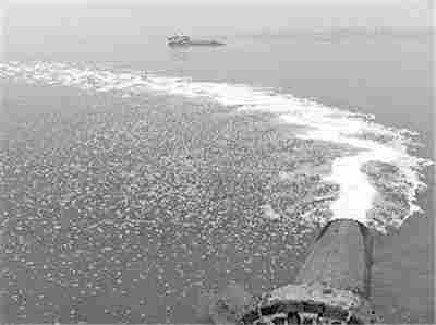 北京固定式水质采样器 生产厂家