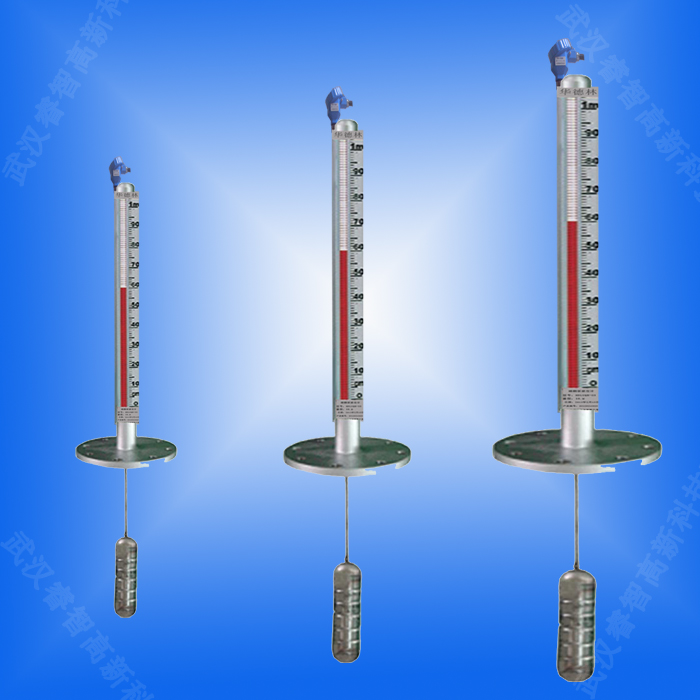 頂裝式磁翻板液位計(jì) 