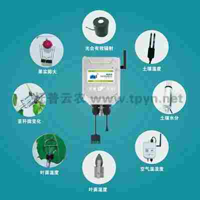 植物生理生态监测系统