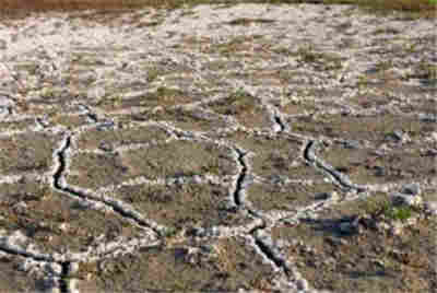 进口多功能土壤墒情检测仪  厂家直销