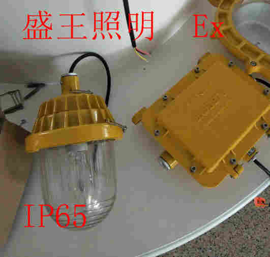 DSFF-755-J150W防爆工厂灯