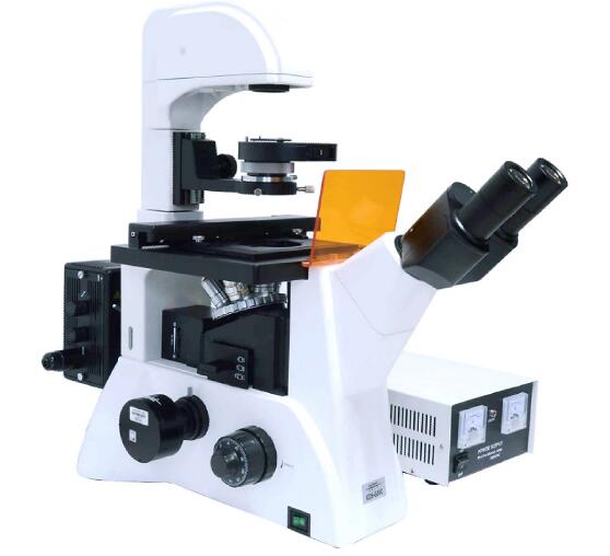 电脑型倒置荧光显微镜XDS-600C