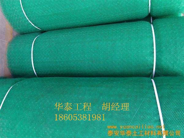 自贡三维土工网垫更新产品欢迎您来厂！！！