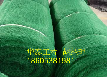 自贡三维土工网垫公司产品直销欢迎您来厂！！！
