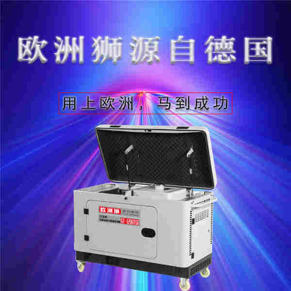 1607423183293207.jpg 10kw柴油发电机报价 (4).jpg