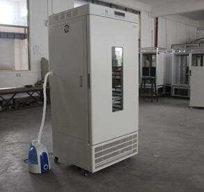 二氧化碳人工气候箱LRH-100-GSI-T(普光 / 强光