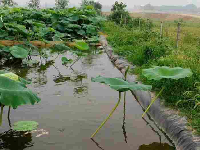晋城市防水土工膜价格表