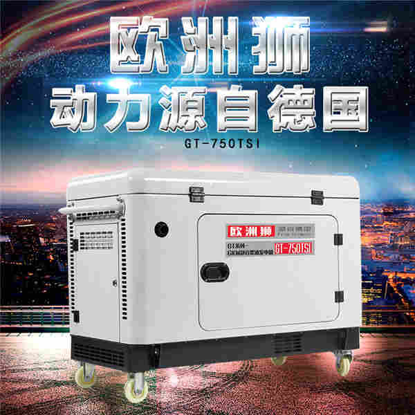 防护型7kw静音柴油发电机