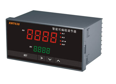 多段曲线控制温控器供应 东莞东城锐恒仪表