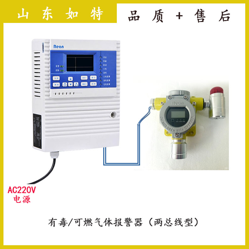 CO2檢測(cè)器 二氧化碳報(bào)警器價(jià)格廠家-RT