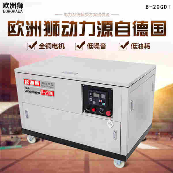 1614073198878555.jpg 20千瓦汽油发电机参数报价