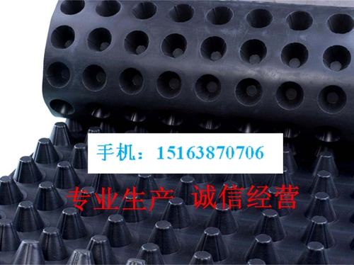 ：惠州500*500承重排水板（惠州公司）——欢迎您