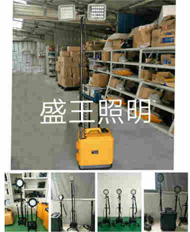 WY2100 WY2100三防防眩灯