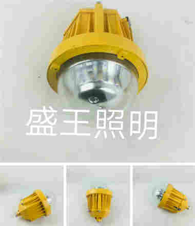 SFW3006 SFW3006多功能照明装置