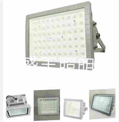 YJ1013强光防爆电筒