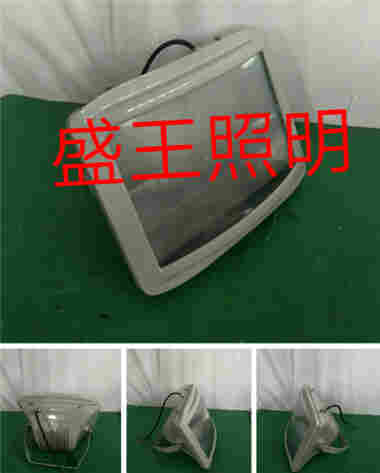 SFW3006 SFW3006多功能照明装置