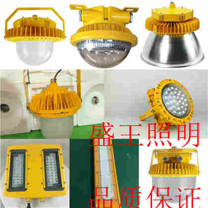 DSFQ-6800 DSFQ-6800全方位升降工作灯