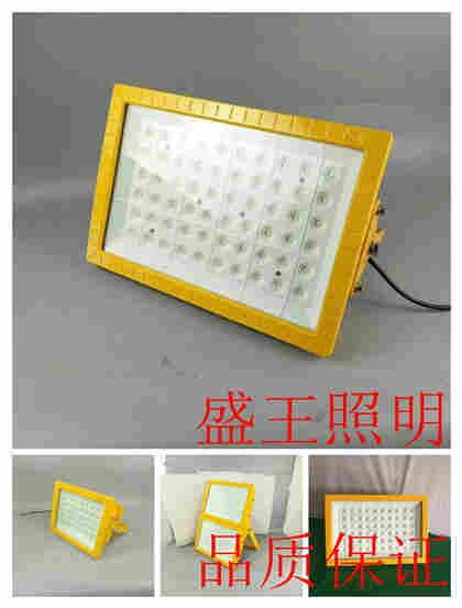 LED防震投光灯NFC9115-L100W-150W