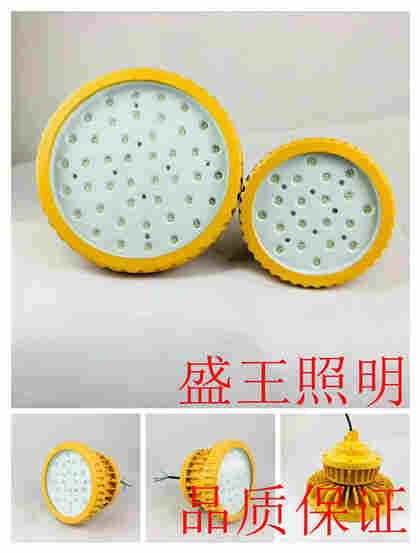 手摇式多功能巡检灯PD-BN2202