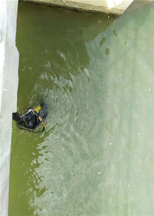 沧州市潜水员提供-潜水施工