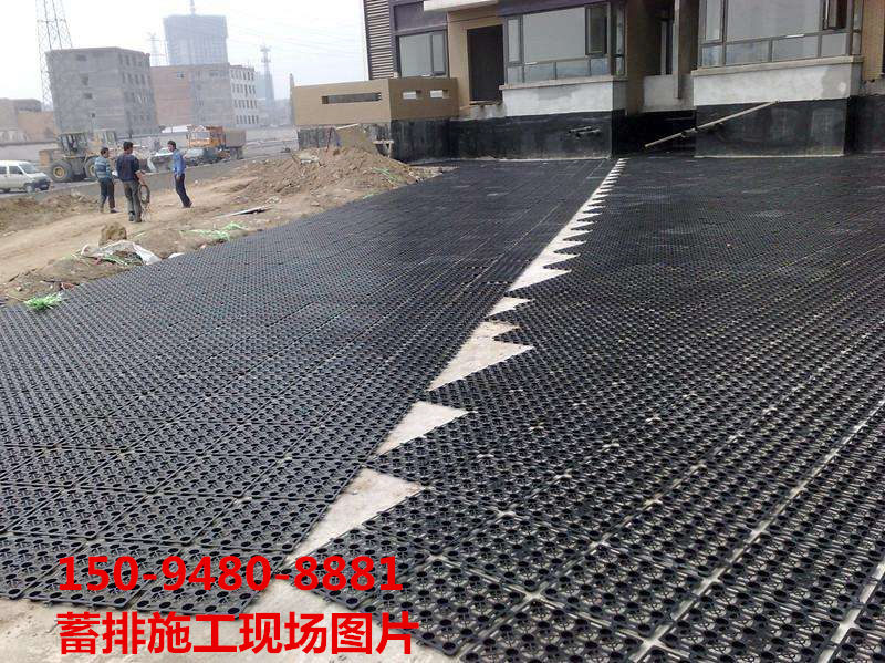 :秦皇岛种植屋面排水板规格-新价格行情