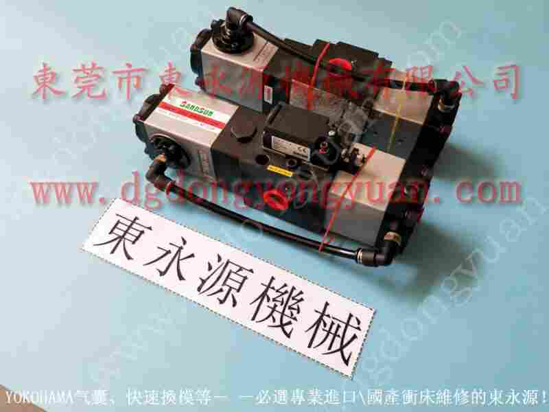 OLP12SB-L-L过载泵,OLP8S-H-L过载泵 找东永源