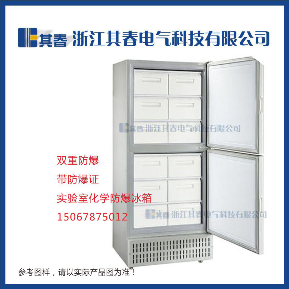 BL-DW450YL高精度微电脑温度控制系统低温防爆冰箱
