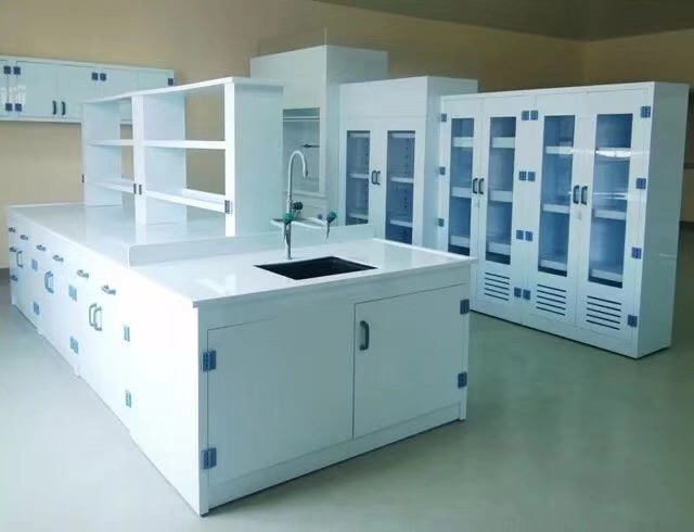 提供内蒙古实验室各种柜及实验台通风柜等实验室家具
