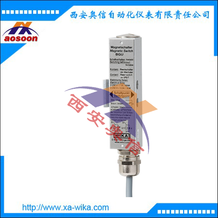 BGU-A KSR柯普乐液位开关 wika磁性开关