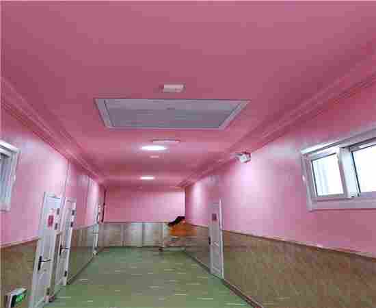 学校,幼儿园房屋抗震安全检测报告保定市单位