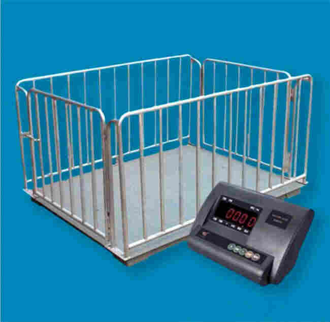 常德scs系列称羊地磅秤经销商