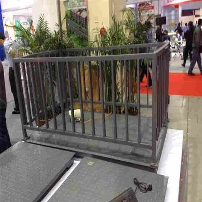 岳塘区1000kg缓冲型电子磅