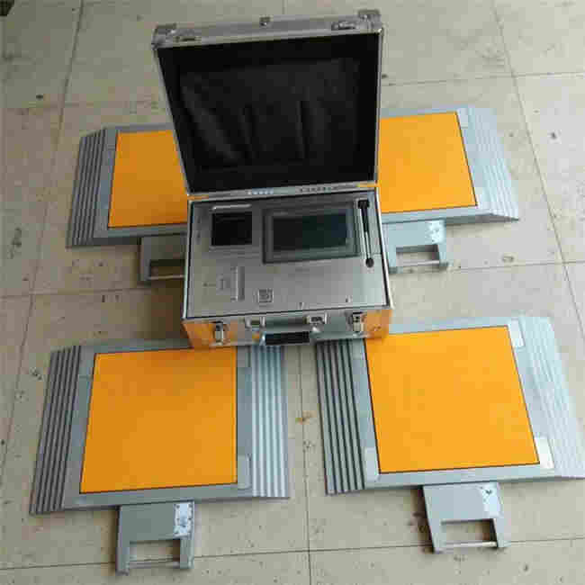 沙坪坝区50吨便携式称重仪类型