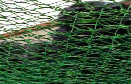 湖南怀化钢塑土工格栅价格—欢迎考察