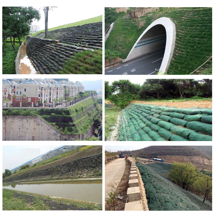 欢迎访问 河北沧州塑料土工格室厂家