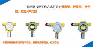 河南氣體泄漏檢測(cè)聲光報(bào)警檢測(cè)儀器