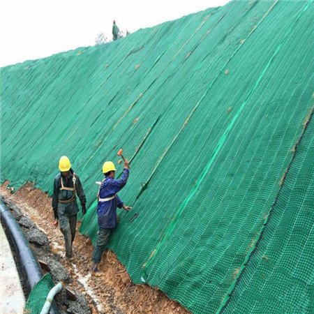 珠海椰丝生态毯 加筋防冲毯 边坡绿化 供应商