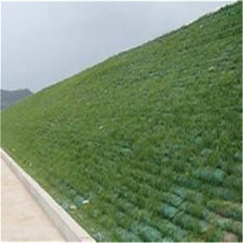生态袋固土绿化边坡——杭州